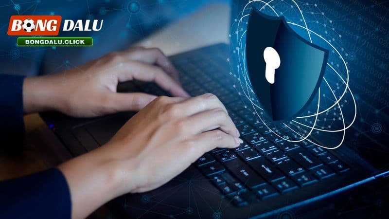 Chính sách bảo mật 2 bongdalu thu thập thông tin người dùng khi bạn cung cấp để đăng ký