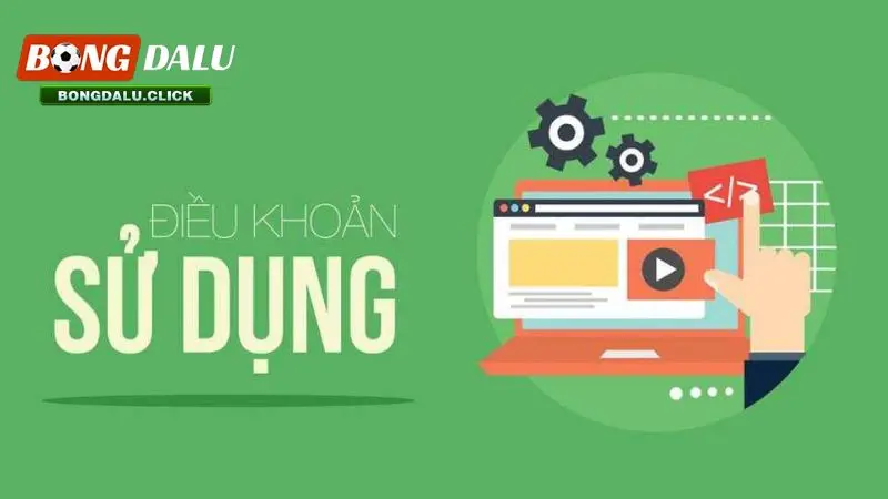 Điều Khoản Sử Dụng 3 Điều khoản sử dụng về truy cập và sử dụng dữ liệu tại bongdalu
