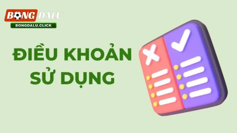 Điều Khoản Sử Dụng 1 Điều khoản sử dụng bongdalu tổng quan nhất dành cho người chơi