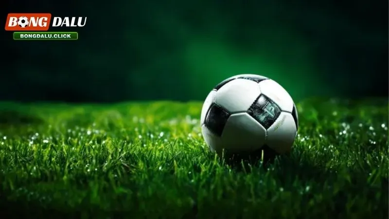 Bóng cỏ là gì? Điểm mặt một số mẹo chơi bóng cỏ mới nhất 1 Bóng cỏ là gì